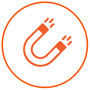Capture icon